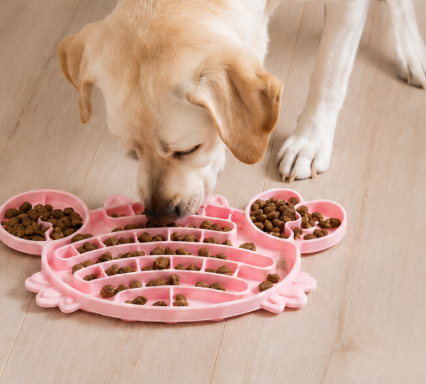 Gamelle Antigloutonne – Silicone – Chien & Chat