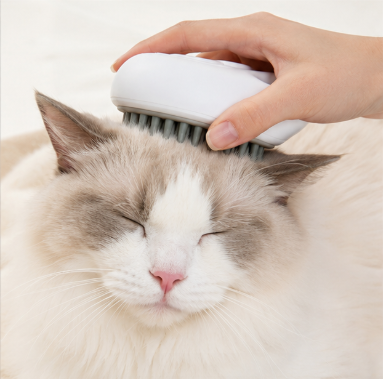 Brosse de Bain 2-en-1 – Distributeur Savon – Chien & Chat