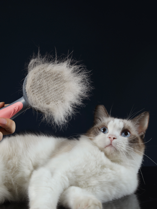 Brosse Auto-Nettoyante – Chat & Chien